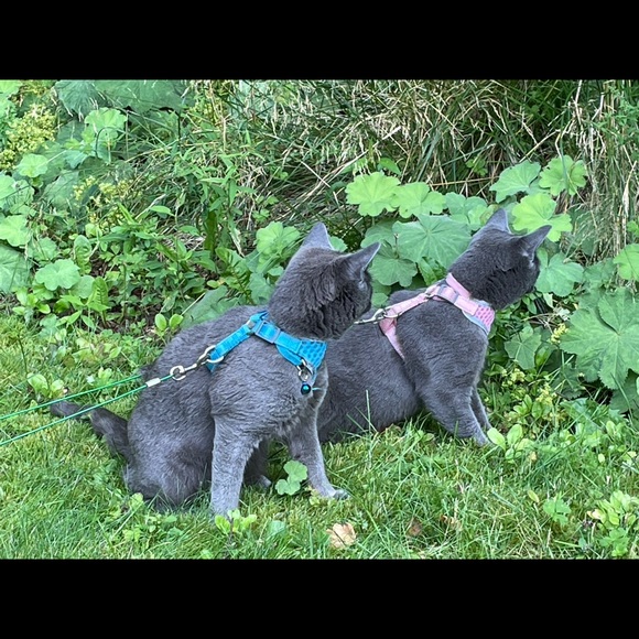 Meet your Posher, Catherine - Picture 5 of 8